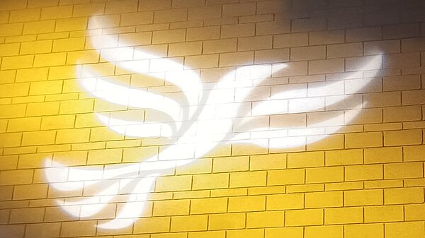 Lib Dem logo bird projected on blockwork